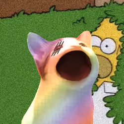 PopHoodCat #5488