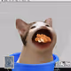 PopHoodCat #9766