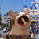 PopHoodCat #3583
