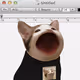 PopHoodCat #1439