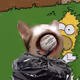 PopHoodCat #6379