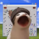 PopHoodCat #1034