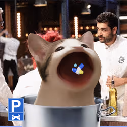 PopHoodCat #6835