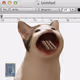 PopHoodCat #2373