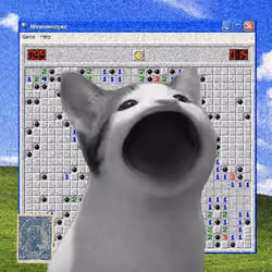PopHoodCat #3865