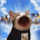 PopHoodCat #1622