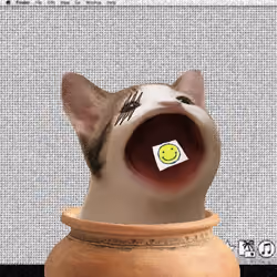 PopHoodCat #8213