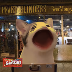 PopHoodCat #3183