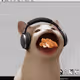 5050