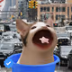 PopHoodCat #1027
