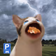 1096