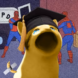 PopHoodCat #1845