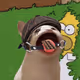 PopHoodCat #6226