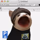 PopHoodCat #9765