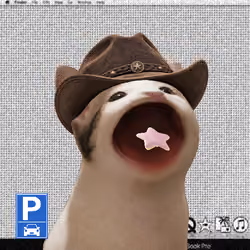 PopHoodCat #6859