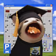 PopHoodCat #4667