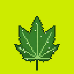 2600
