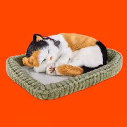 MEOWDANI