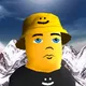 4329