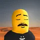 4251