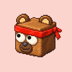 Ninja Bear