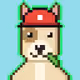 Hash Dogs #1798