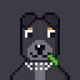 Hash Dogs #1553