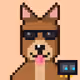 Hash Dogs #831