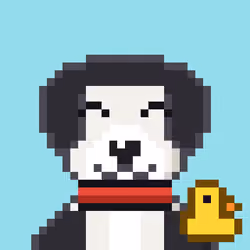 Hash Dogs #4885