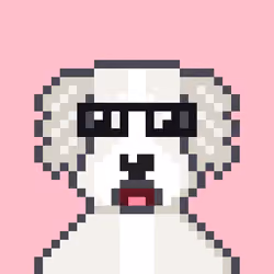 Hash Dogs #4904