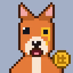 Hash Dogs #4837