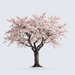 Tree #0151 — Mature Tree