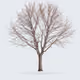 Tree #0390 — Mature Tree