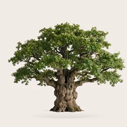 Tree #0919 — Mature Tree