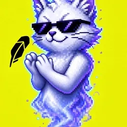 cat-wi-dacashh