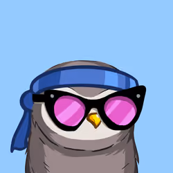Sherwood Owls #2711