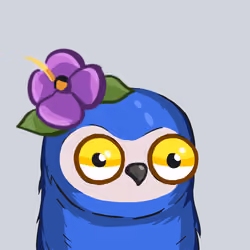 Sherwood Owls #2461