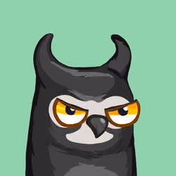 Sherwood Owls #4360