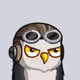 Sherwood Owls #7566