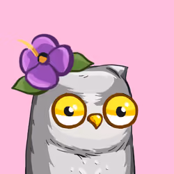 Sherwood Owls #2408