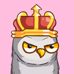 Sherwood Owls #2499