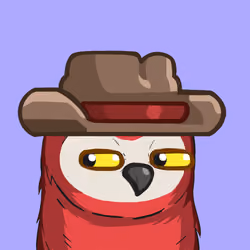 Sherwood Owls #240