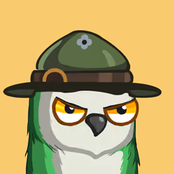Sherwood Owls #4446