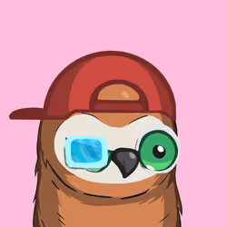 Sherwood Owls #867