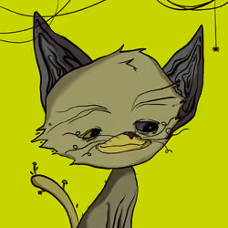 815