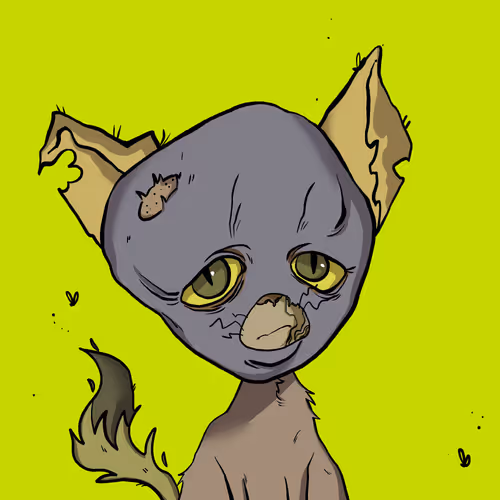 No Cash Cats #667