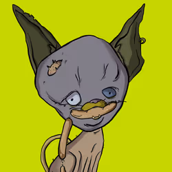 653