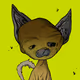 No Cash Cats #479