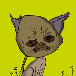 248