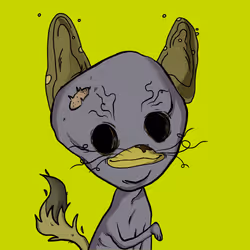 509